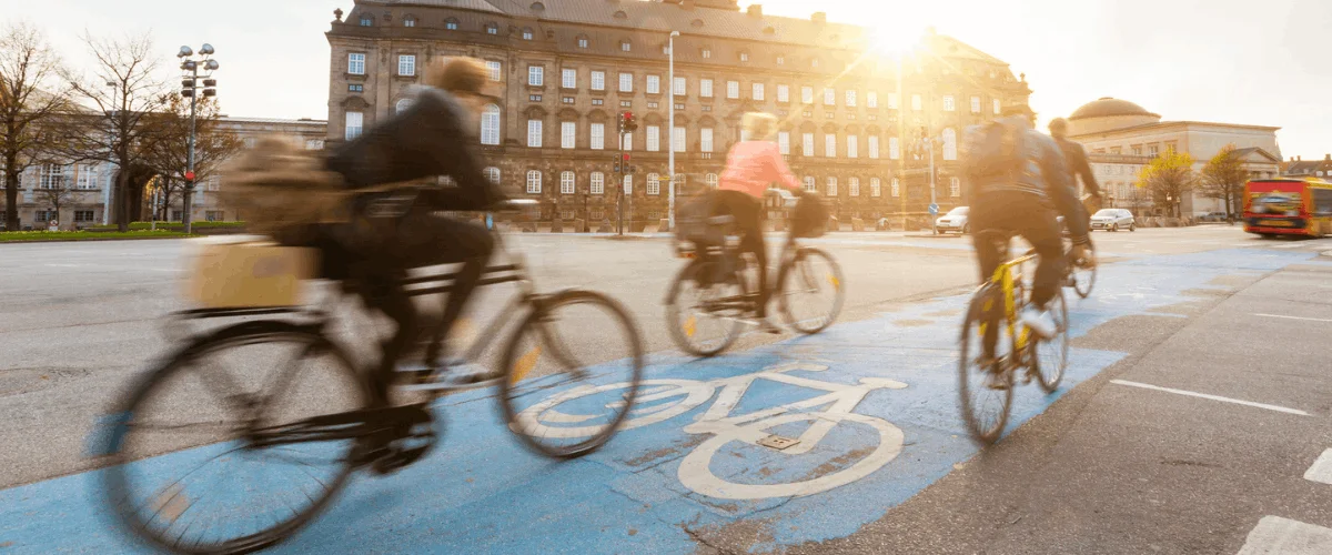 Strasbourg, Rennes, Grenoble : quelles villes ont les meilleurs REV ? Étude WWF/FUB sur les infrastructures cyclables des 30 premières agglomérations françaises.